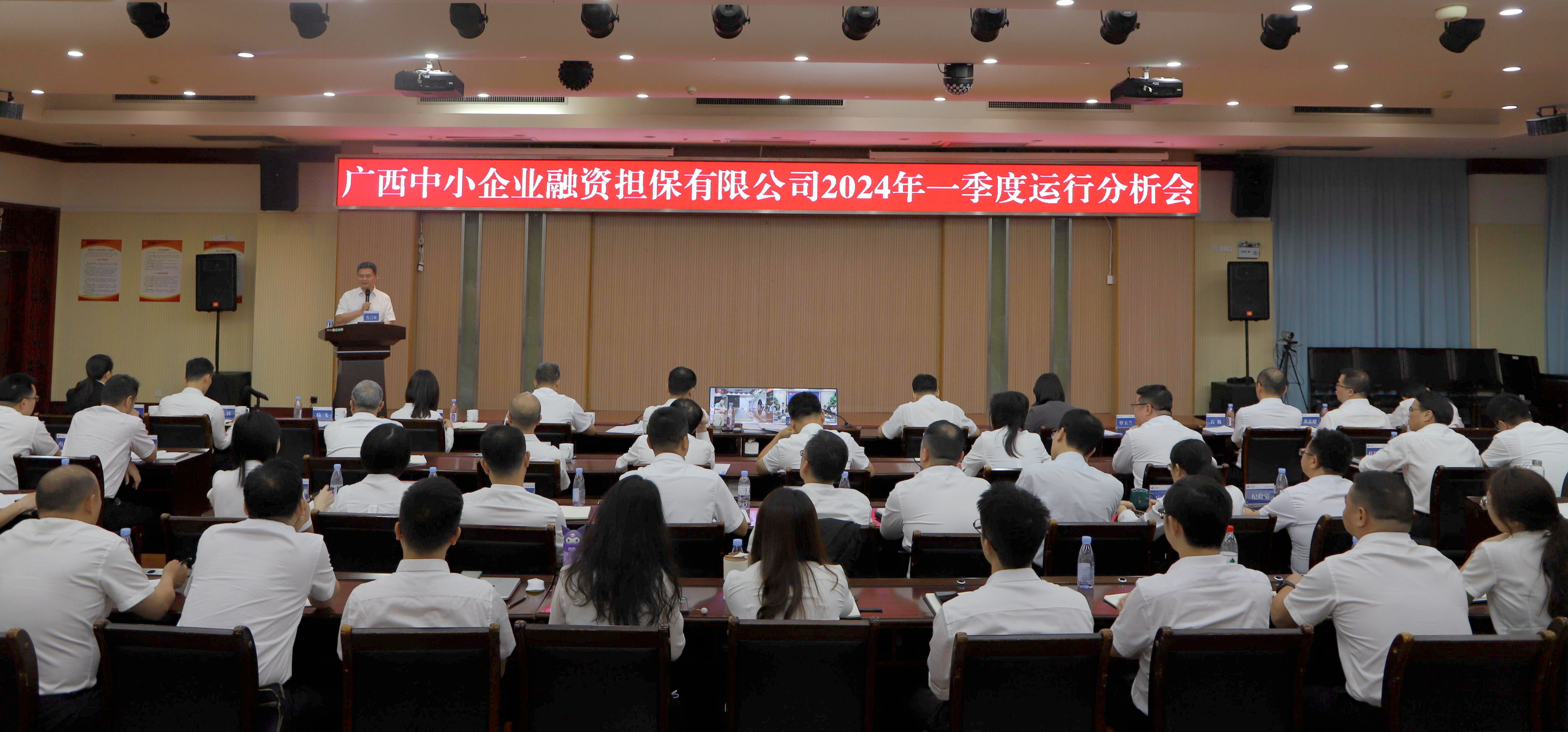 【落實(shí)落細(xì)落地，全力攻堅(jiān)“雙過(guò)半”】中小擔(dān)保召開(kāi)2024年一季度運(yùn)行分析會(huì)